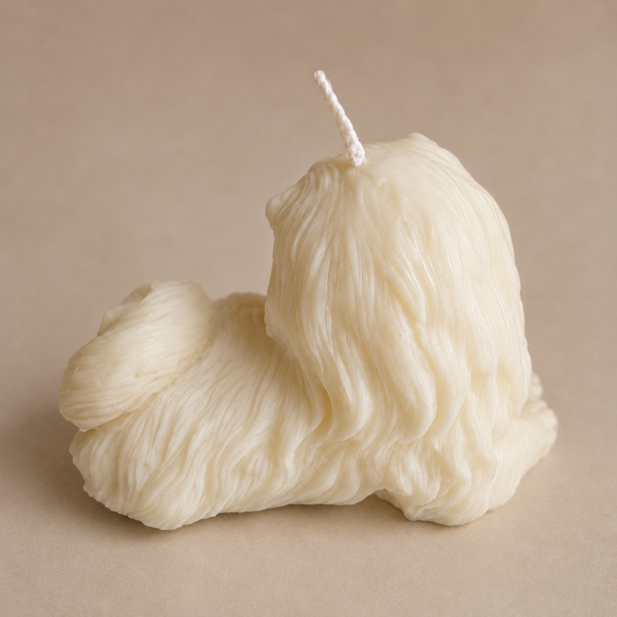 Bougie Chien Shih Tzu