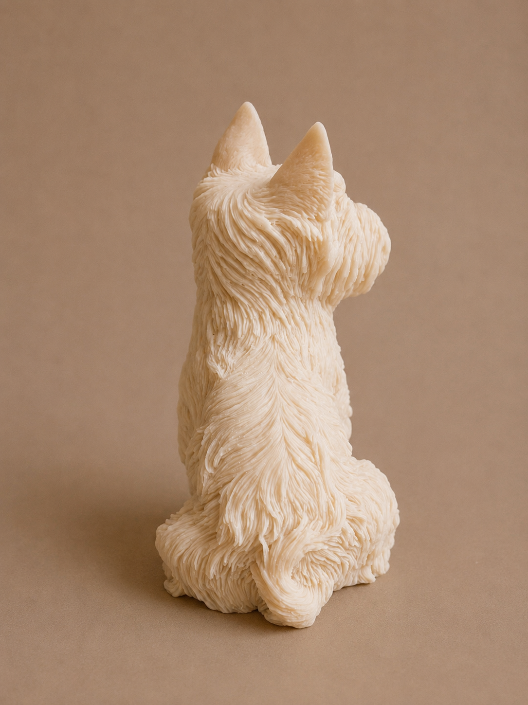 Bougie Yorkshire Terrier