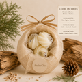 Fondants parfumés artisanaux – Cire de soja