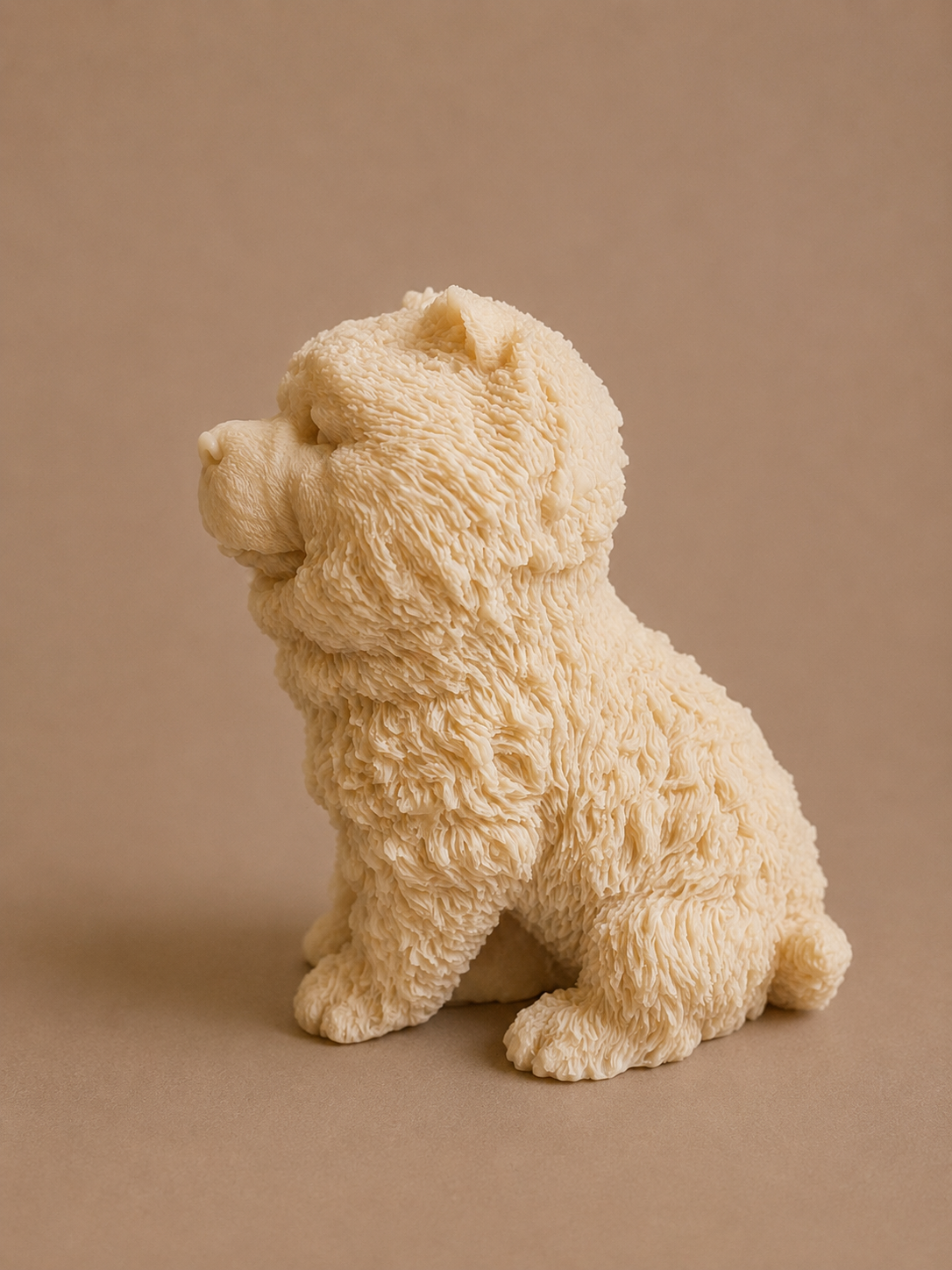 Bougie Chien Chow-Chow